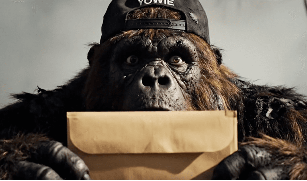 Contact Big Yowie